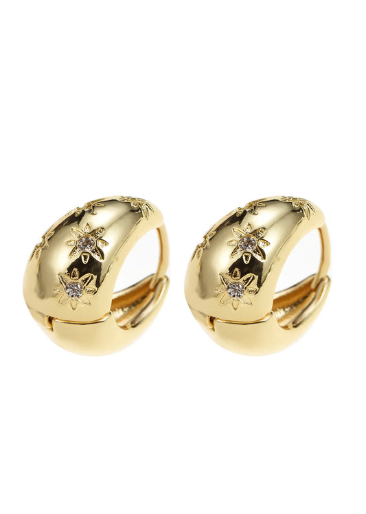 Awn Star Golden Earrings